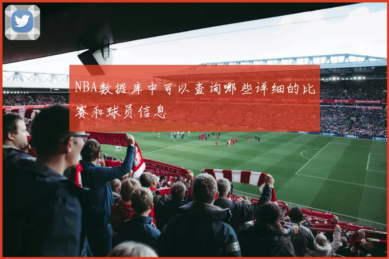 NBA数据库中可以查询哪些详细的比赛和球员信息