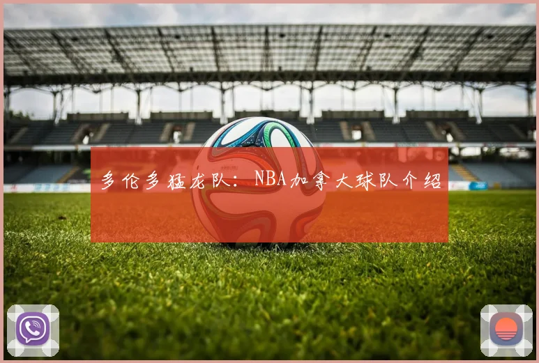 多伦多猛龙队：NBA加拿大球队介绍